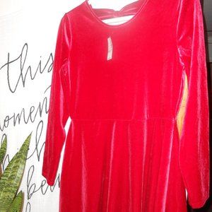 NWT Girls Children's Place Velvet Red Dress